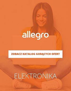 Elektronika