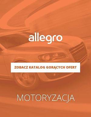 Motoryzacja
