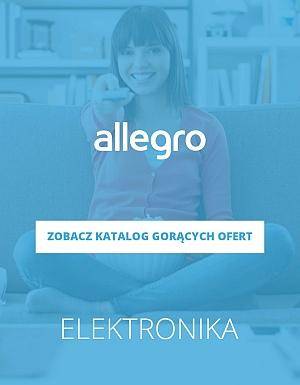 Elektronika