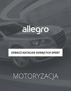 Allegro motoryzacja