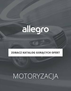 Oferty motoryzacyjne