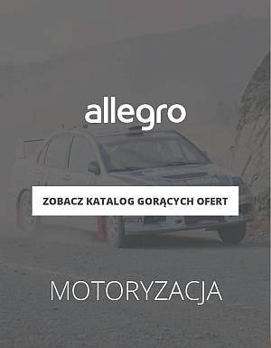 Motoryzacja