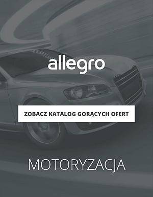 Allegro motoryzacja