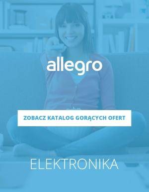 Elektronika