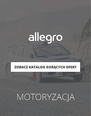 Motoryzacja