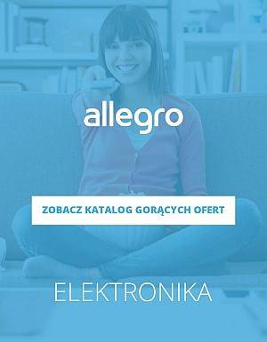 Elektronika