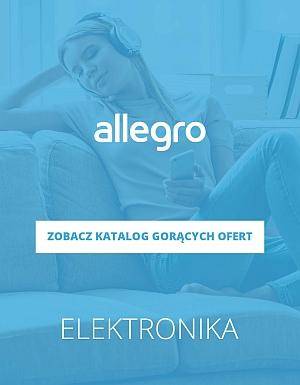 Allegro elektronika
