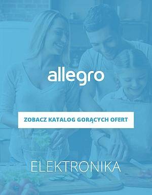 Elektronika