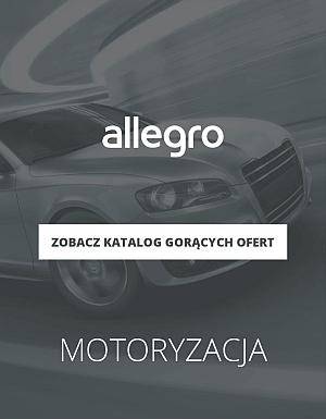 Allegro motoryzacja